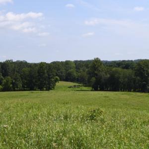 Photo #29 of 2919 ROKEBY RD, DELAPLANE, VA 48.8 acres