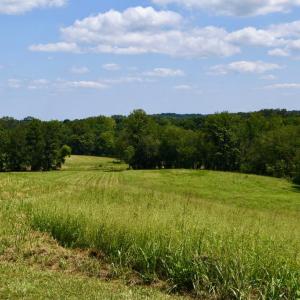 Photo #7 of 2919 ROKEBY RD, DELAPLANE, VA 48.8 acres
