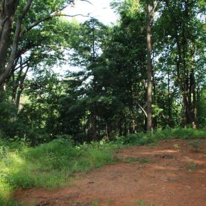 Photo #10 of BAXTER DR, STANLEY, VA 33.3 acres