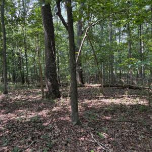 Photo #2 of WEAVER ROAD, AMISSVILLE, VA 3.0 acres