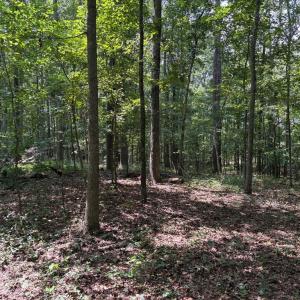 Photo #3 of WEAVER ROAD, AMISSVILLE, VA 3.0 acres