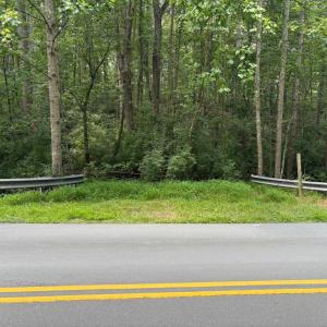 Photo #7 of WEAVER ROAD, AMISSVILLE, VA 3.0 acres
