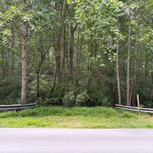 Photo #1 of WEAVER ROAD, AMISSVILLE, VA 3.0 acres