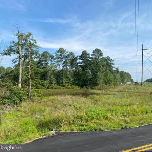 Photo #1 of MASSAPONAX CHURCH RD, FREDERICKSBURG, VA 13.2 acres