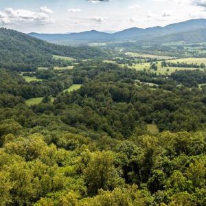 Photo #5 of 1 RAG HILL RD, SYRIA, VA 2.9 acres