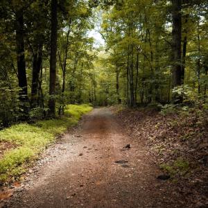 Photo #6 of 1 RAG HILL RD, SYRIA, VA 2.9 acres