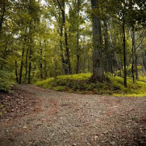 Photo #7 of 1 RAG HILL RD, SYRIA, VA 2.9 acres