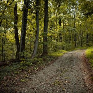 Photo #8 of 1 RAG HILL RD, SYRIA, VA 2.9 acres