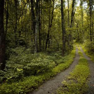 Photo #9 of 1 RAG HILL RD, SYRIA, VA 2.9 acres