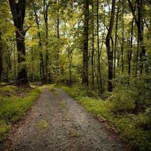 Photo #10 of 1 RAG HILL RD, SYRIA, VA 2.9 acres