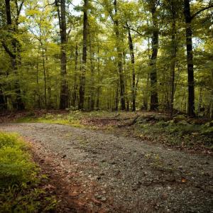 Photo #11 of 1 RAG HILL RD, SYRIA, VA 2.9 acres