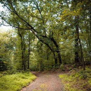 Photo #17 of 1 RAG HILL RD, SYRIA, VA 2.9 acres