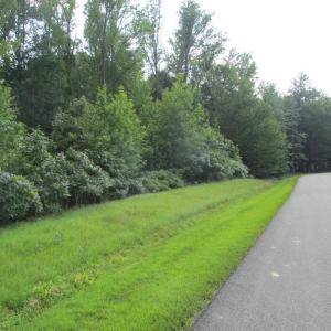 Photo #5 of BLUE SKY WAY, BUMPASS, VA 0.8 acres