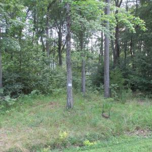 Photo #4 of BLUE SKY WAY, BUMPASS, VA 0.8 acres