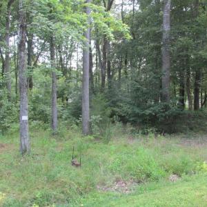 Photo #6 of BLUE SKY WAY, BUMPASS, VA 0.8 acres