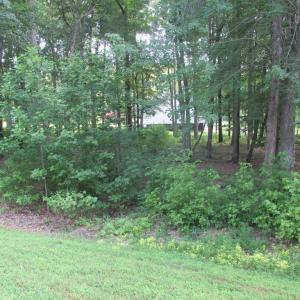 Photo #2 of BLUE SKY WAY, BUMPASS, VA 0.8 acres