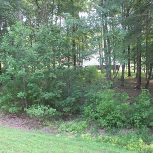 Photo #3 of BLUE SKY WAY, BUMPASS, VA 0.8 acres