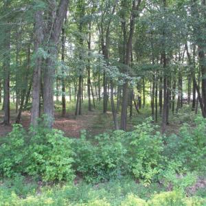 Photo #7 of BLUE SKY WAY, BUMPASS, VA 0.8 acres