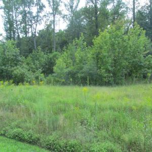 Photo #3 of BLUE SKY WAY, BUMPASS, VA 0.9 acres