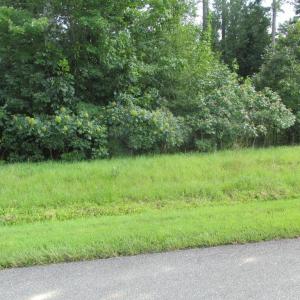 Photo #1 of BLUE SKY WAY, BUMPASS, VA 0.9 acres