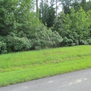 Photo #2 of BLUE SKY WAY, BUMPASS, VA 0.9 acres
