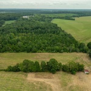 Photo #4 of 12406 STRODES MILL, REMINGTON, VA 2.8 acres