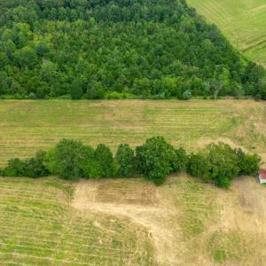 Photo #5 of 12406 STRODES MILL, REMINGTON, VA 2.8 acres