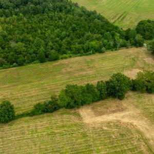 Photo #6 of 12406 STRODES MILL, REMINGTON, VA 2.8 acres