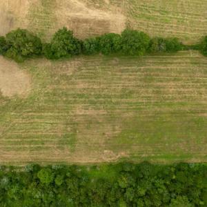 Photo #11 of 12406 STRODES MILL, REMINGTON, VA 2.8 acres