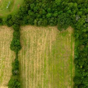 Photo #17 of 12406 STRODES MILL, REMINGTON, VA 2.8 acres
