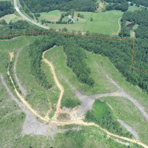 Photo #4 of WEST RIVER RD. (RT. 6) (TRACT: JR A.J. COLLINS-1), SCOTTSVILLE, VA 150.0 acres