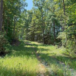 Photo #7 of WEST RIVER RD. (RT. 6) (TRACT: JR A.J. COLLINS-1), SCOTTSVILLE, VA 150.0 acres