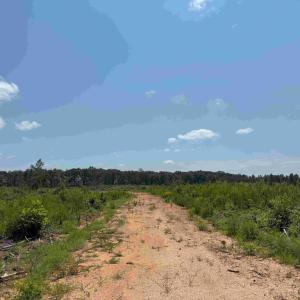 Photo #11 of WEST RIVER RD. (RT. 6) (TRACT: JR A.J. COLLINS-1), SCOTTSVILLE, VA 150.0 acres