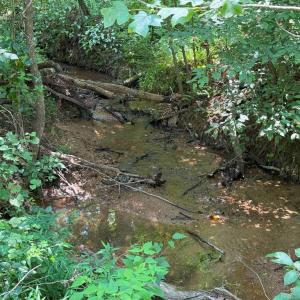 Photo #14 of WEST RIVER RD. (RT. 6) (TRACT: JR A.J. COLLINS-1), SCOTTSVILLE, VA 150.0 acres