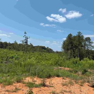 Photo #16 of WEST RIVER RD. (RT. 6) (TRACT: JR A.J. COLLINS-1), SCOTTSVILLE, VA 150.0 acres