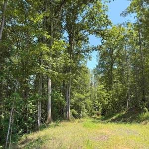 Photo #17 of WEST RIVER RD. (RT. 6) (TRACT: JR A.J. COLLINS-1), SCOTTSVILLE, VA 150.0 acres