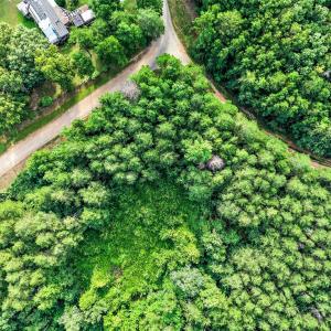 Photo #3 of 4280 LEES CT, LOCUST GROVE, VA 8.0 acres
