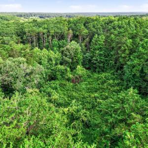Photo #6 of 4280 LEES CT, LOCUST GROVE, VA 8.0 acres