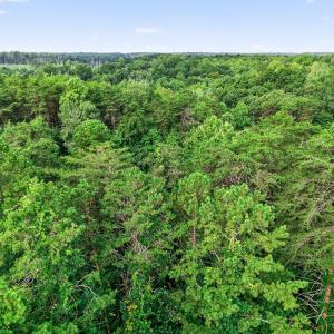 Photo #7 of 4280 LEES CT, LOCUST GROVE, VA 8.0 acres