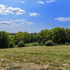 Photo #1 of CLARENDON FARM DR, MARSHALL, VA 50.0 acres