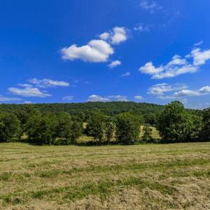Photo #3 of CLARENDON FARM DR, MARSHALL, VA 50.0 acres