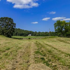 Photo #4 of CLARENDON FARM DR, MARSHALL, VA 50.0 acres