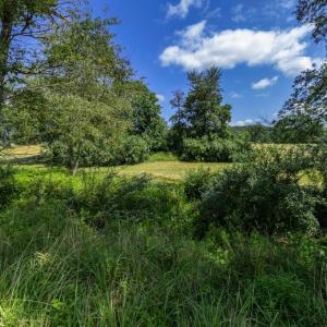 Photo #7 of CLARENDON FARM DR, MARSHALL, VA 50.0 acres