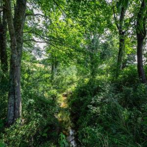 Photo #11 of CLARENDON FARM DR, MARSHALL, VA 50.0 acres