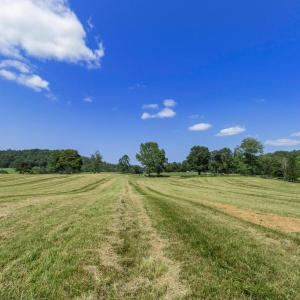 Photo #12 of CLARENDON FARM DR, MARSHALL, VA 50.0 acres