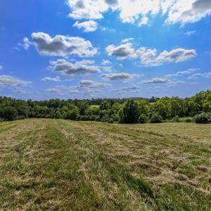 Photo #13 of CLARENDON FARM DR, MARSHALL, VA 50.0 acres