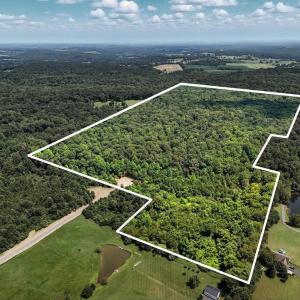 Photo #1 of FOXTROT LN, RIXEYVILLE, VA 65.7 acres