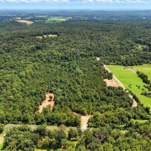 Photo #3 of FOXTROT LN, RIXEYVILLE, VA 17.1 acres