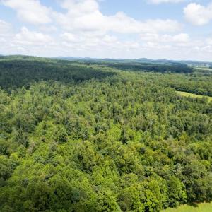 Photo #12 of W HOOVER, REVA, VA 114.9 acres