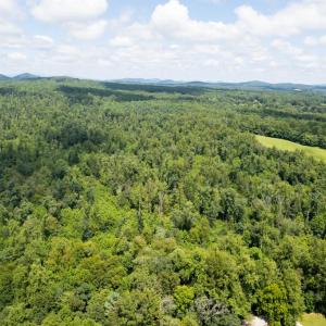 Photo #14 of W HOOVER, REVA, VA 114.9 acres